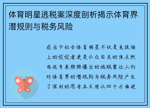 体育明星逃税案深度剖析揭示体育界潜规则与税务风险